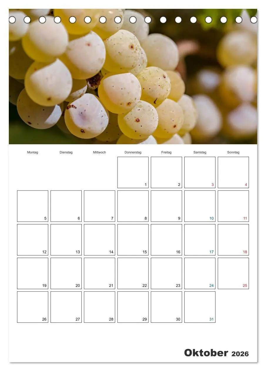 Bild: 9783516430936 | Rheingau Terminplaner (Tischkalender 2026 DIN A5 hoch), CALVENDO...
