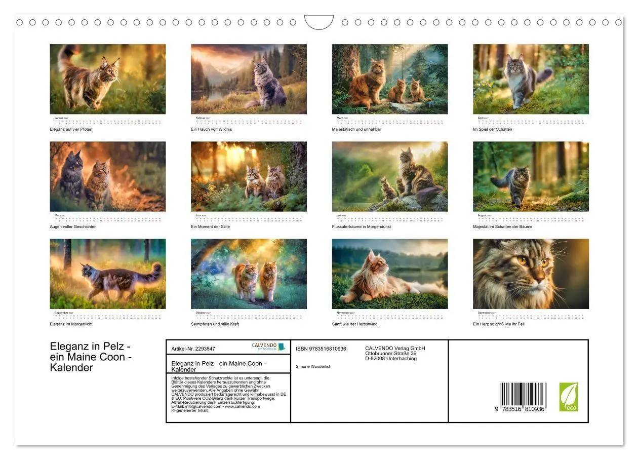 Bild: 9783516810936 | Eleganz in Pelz - ein Maine Coon - Kalender (Wandkalender 2027 DIN...