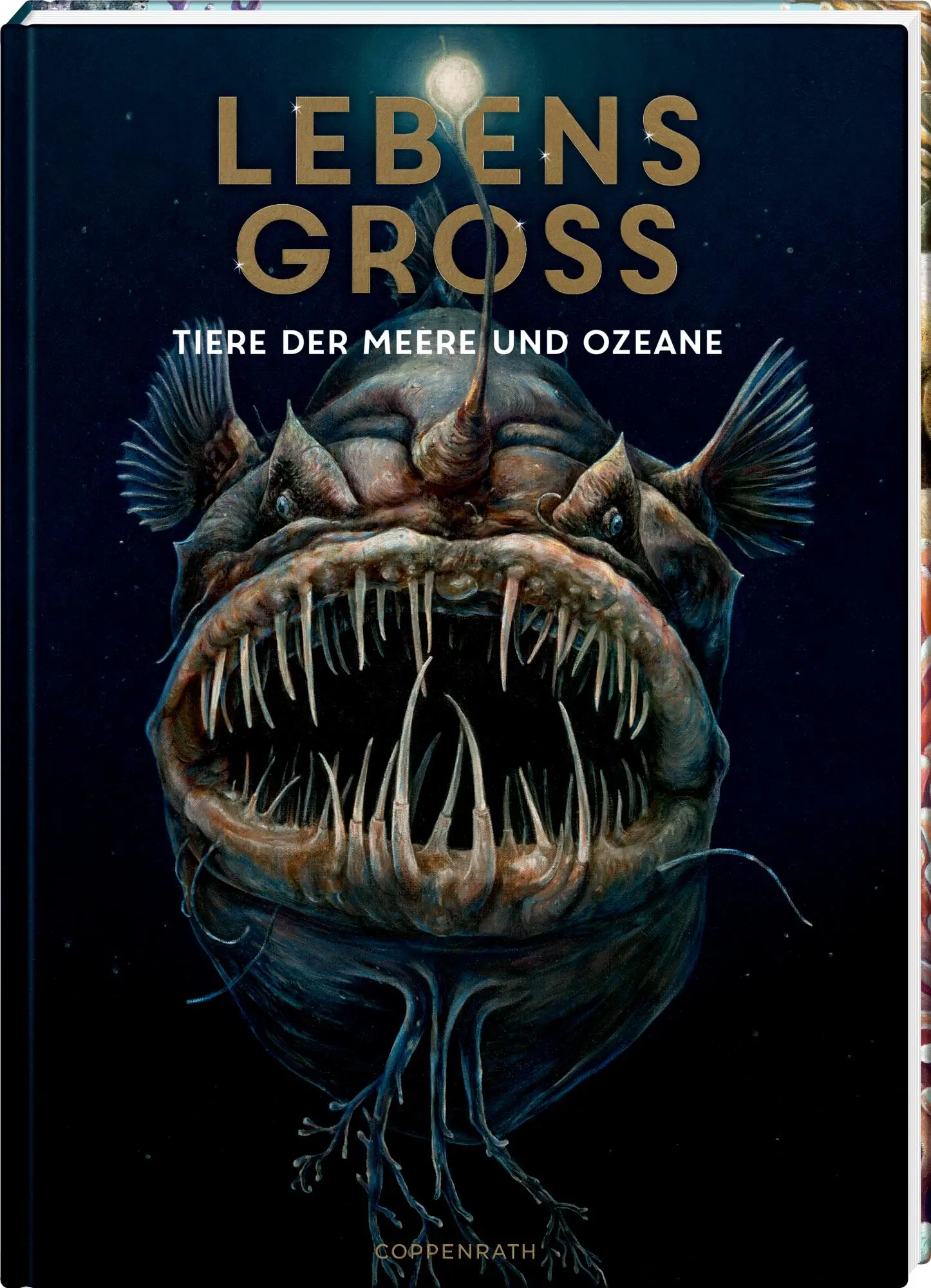 Cover: 9783649640936 | Lebensgroß | Tiere der Meere und Ozeane | Holger Haag | Buch | 56 S.