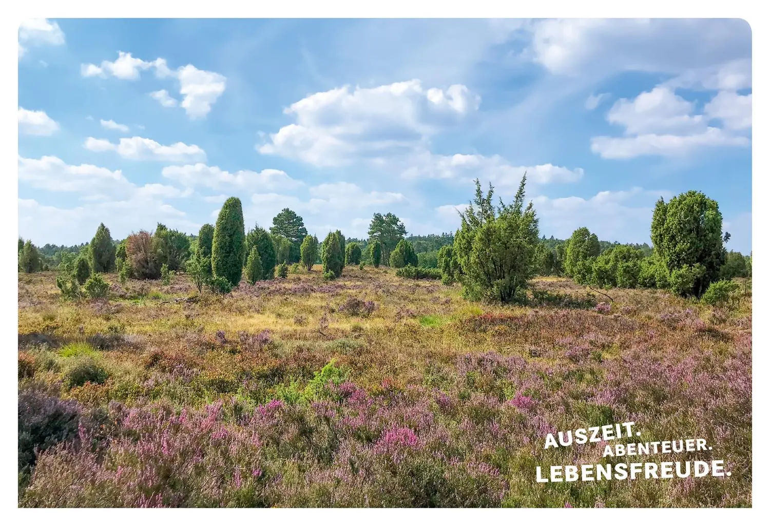 Bild: 9783770180936 | 52 kleine &amp; große Eskapaden in der Lüneburger Heide | Ab nach draußen!