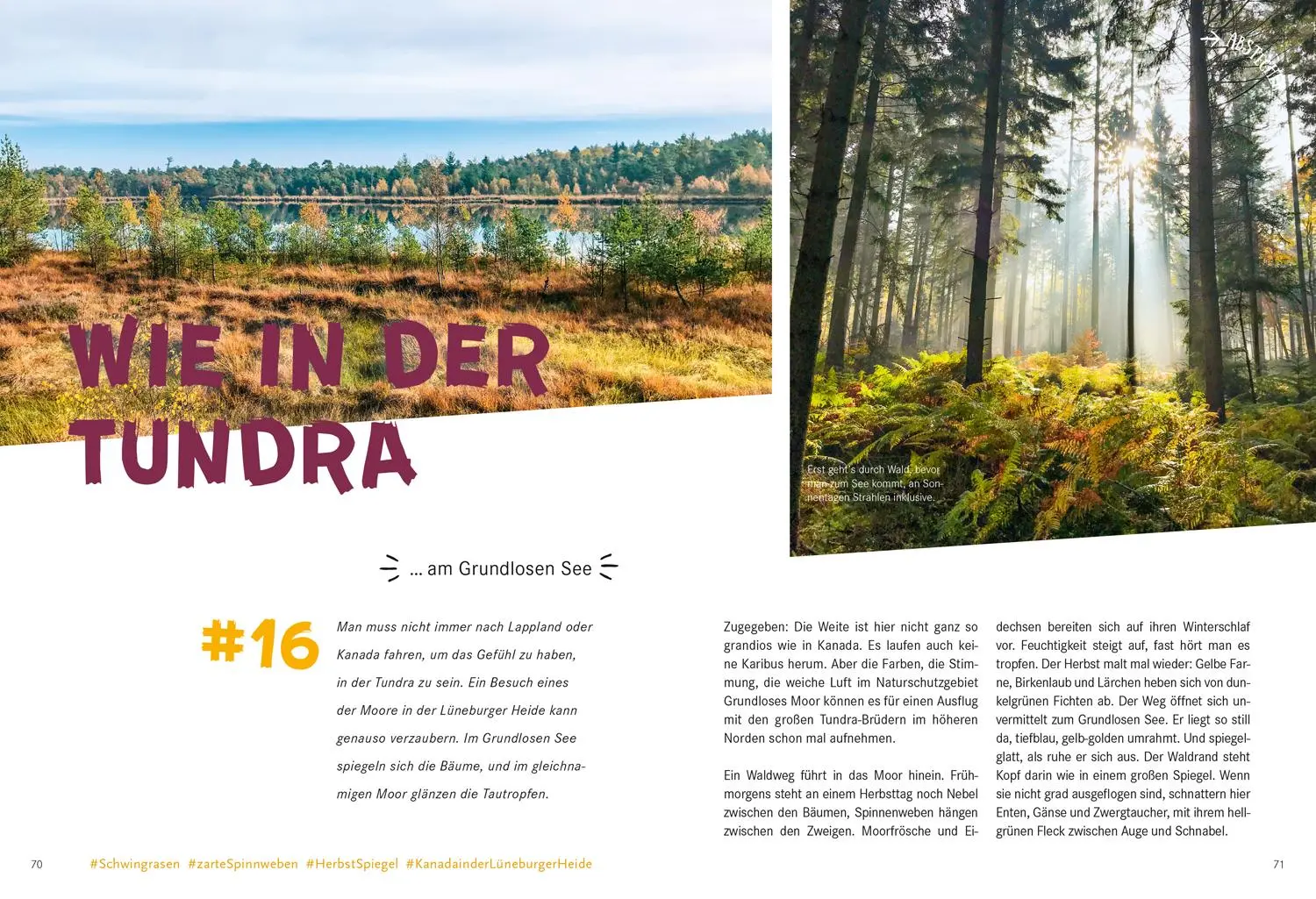 Bild: 9783770180936 | 52 kleine &amp; große Eskapaden in der Lüneburger Heide | Ab nach draußen!