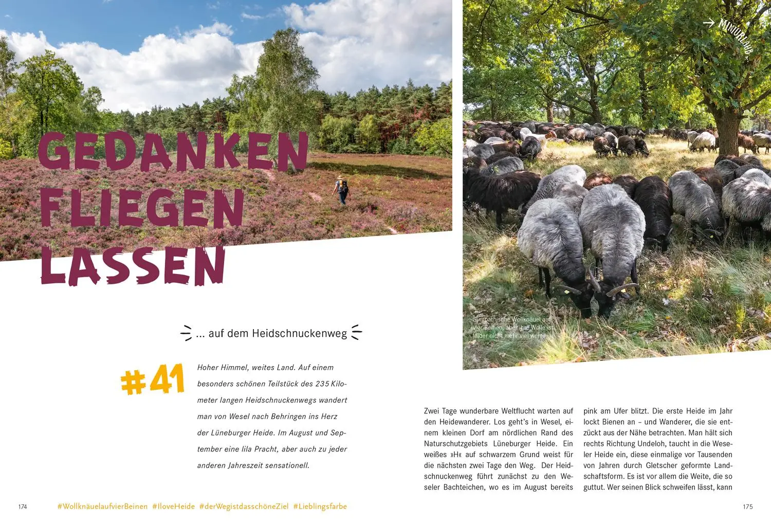 Bild: 9783770180936 | 52 kleine &amp; große Eskapaden in der Lüneburger Heide | Ab nach draußen!