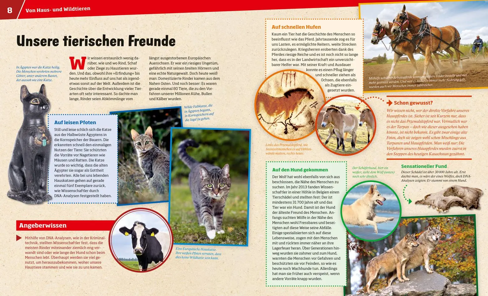 Bild: 9783788620936 | WAS IST WAS Band 72 Haustiere. Unsere liebsten Freunde | Hackbarth
