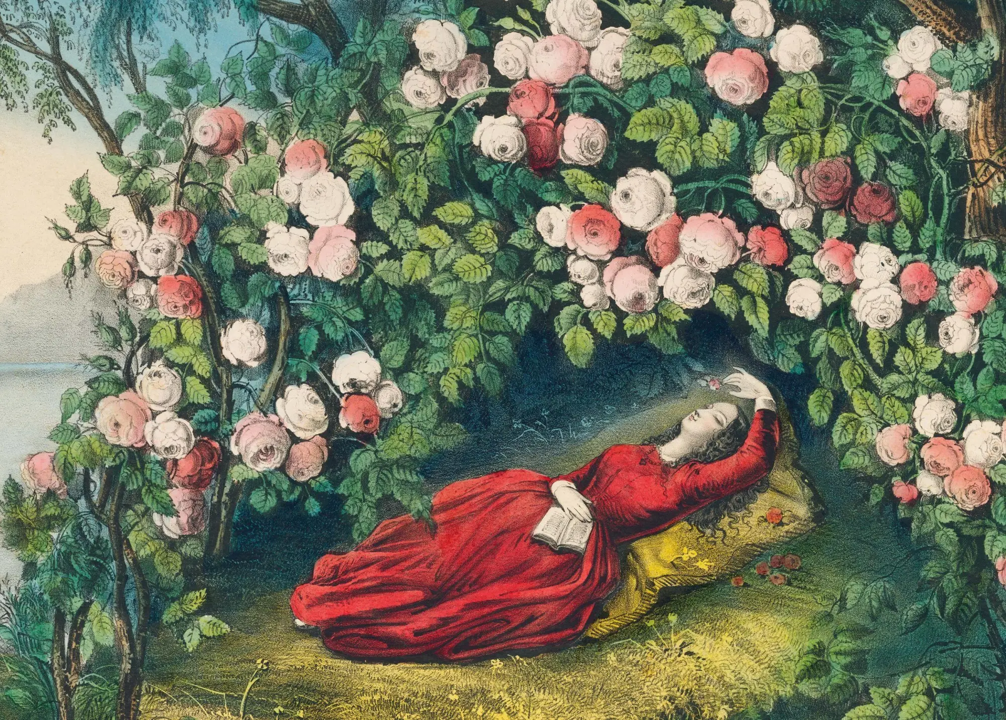 Bild: 9781648291036 | John Derian Paper Goods: The Bower of Roses 1,000-Piece Puzzle | Spiel