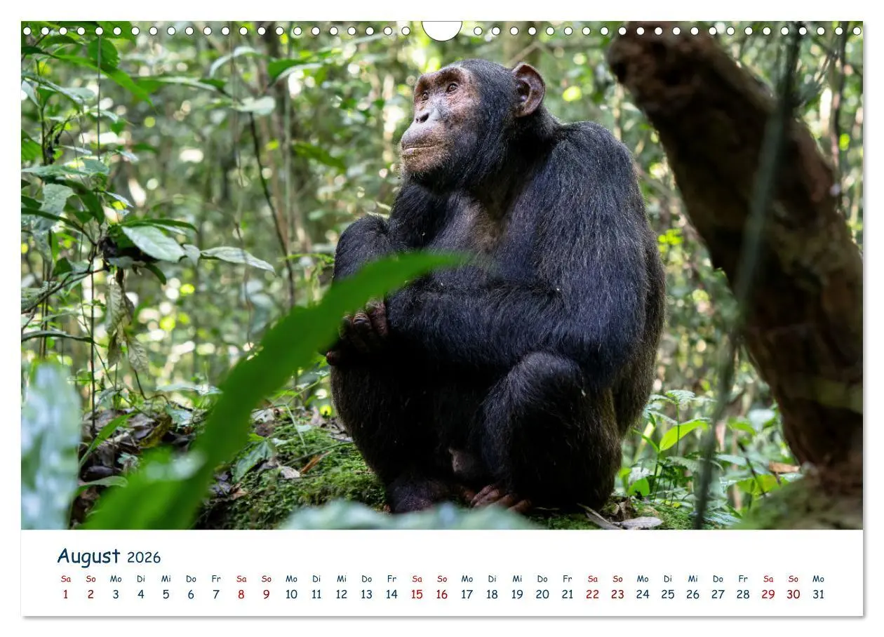 Bild: 9783457611036 | Fernweh Uganda - Naturschönheit Ostafrikas (Wandkalender 2026 DIN...