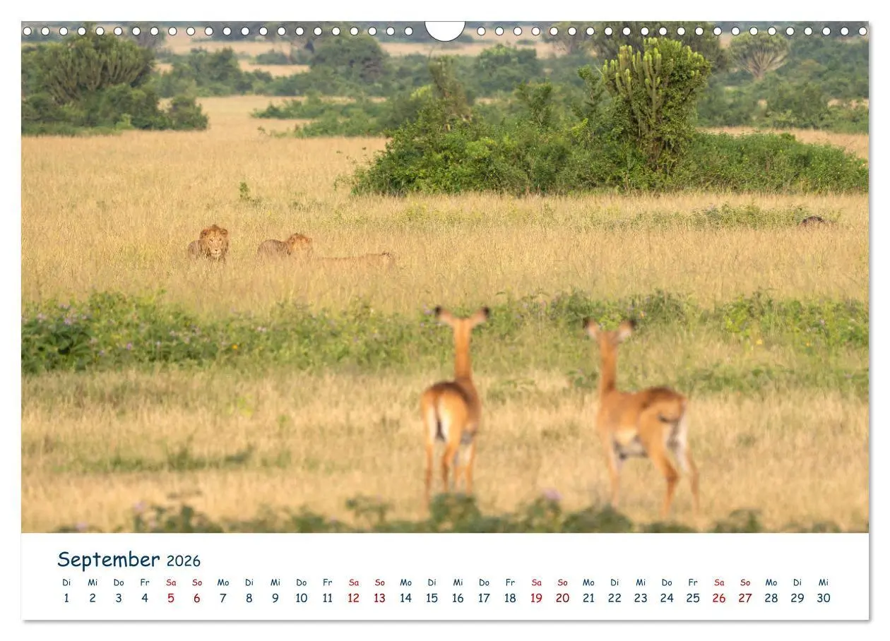 Bild: 9783457611036 | Fernweh Uganda - Naturschönheit Ostafrikas (Wandkalender 2026 DIN...