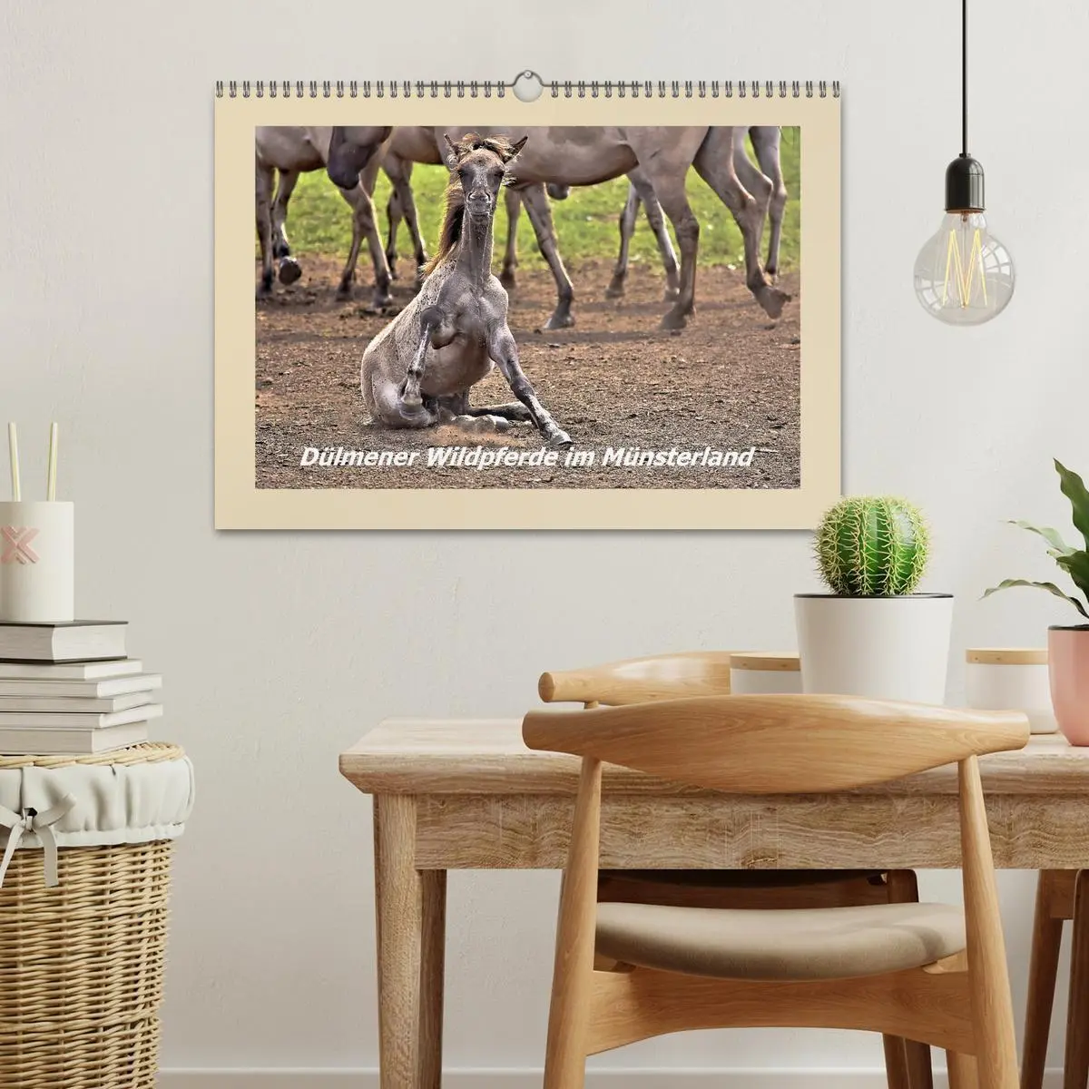 Bild: 9783457851036 | Dülmener Wildpferde im Münsterland (Wandkalender 2026 DIN A3 quer),...