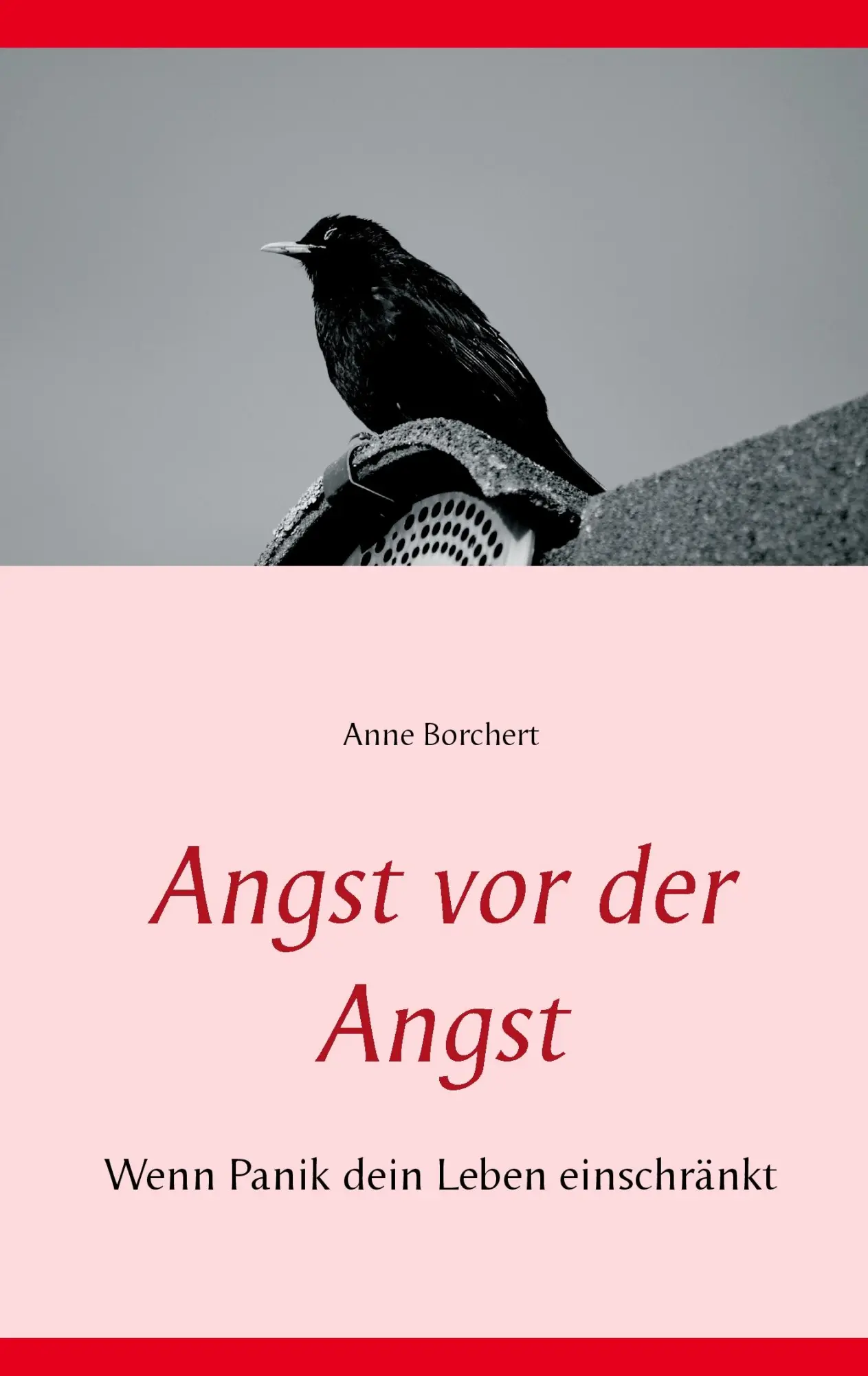 Cover: 9783734741036 | Angst vor der Angst | Wenn Panik dein Leben einschränkt | Borchert