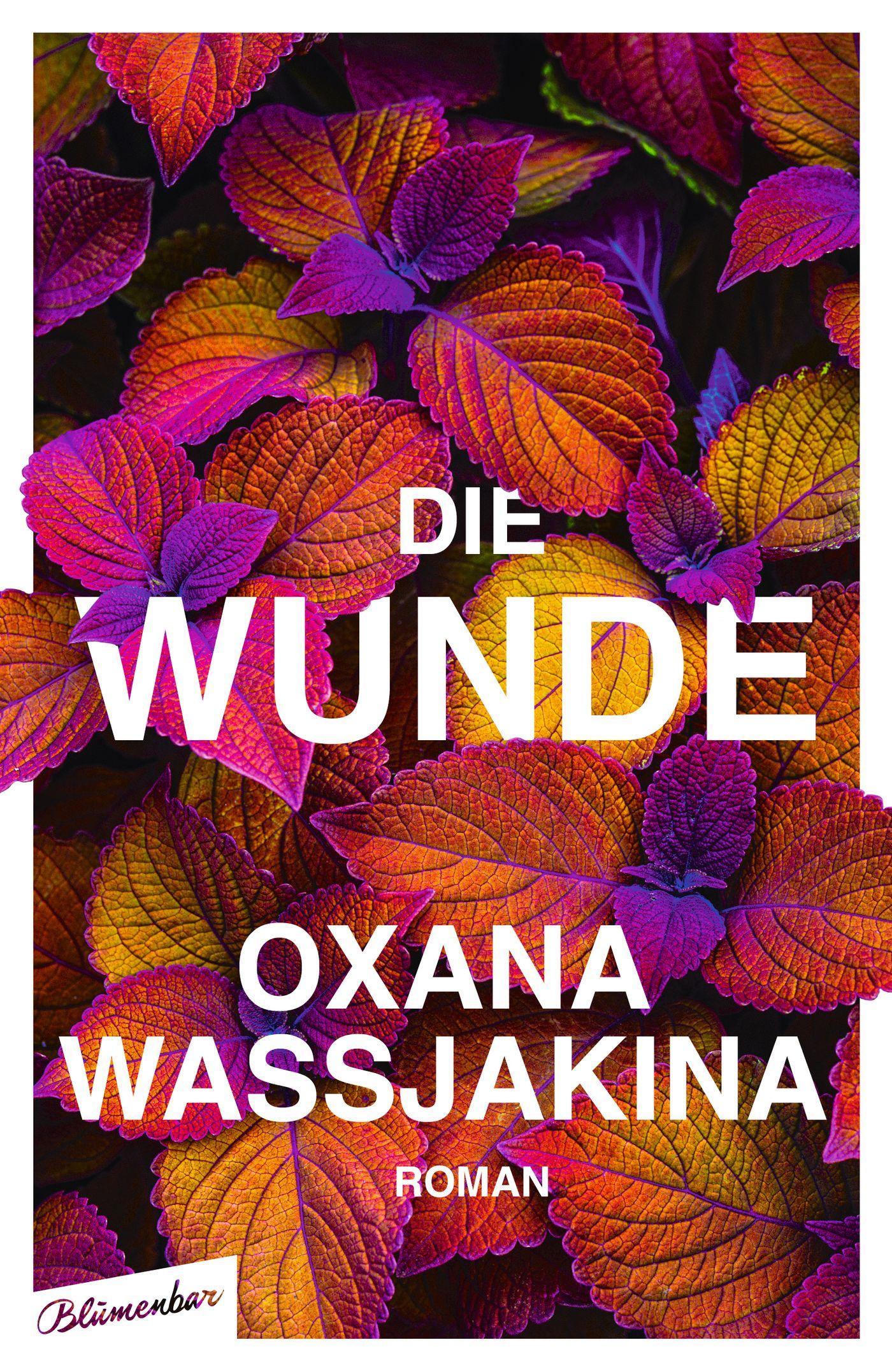 Cover: 9783351051136 | Die Wunde | Roman | Oxana Wassjakina | Buch | 300 S. | Deutsch | 2023