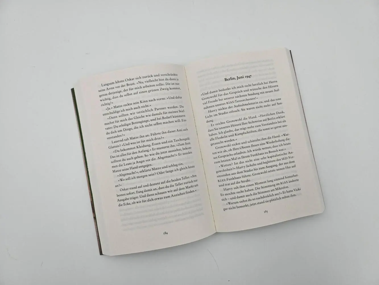 Bild: 9783492321136 | Die Zeitungsdynastie - Neue Freiheit | Katrin Tempel | Taschenbuch