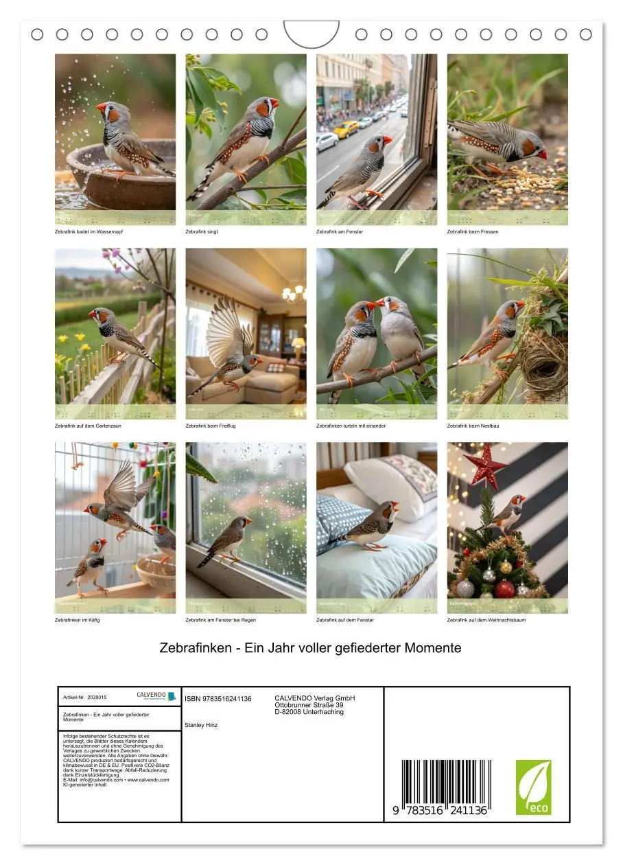 Bild: 9783516241136 | Zebrafinken - Ein Jahr voller gefiederter Momente (Wandkalender...