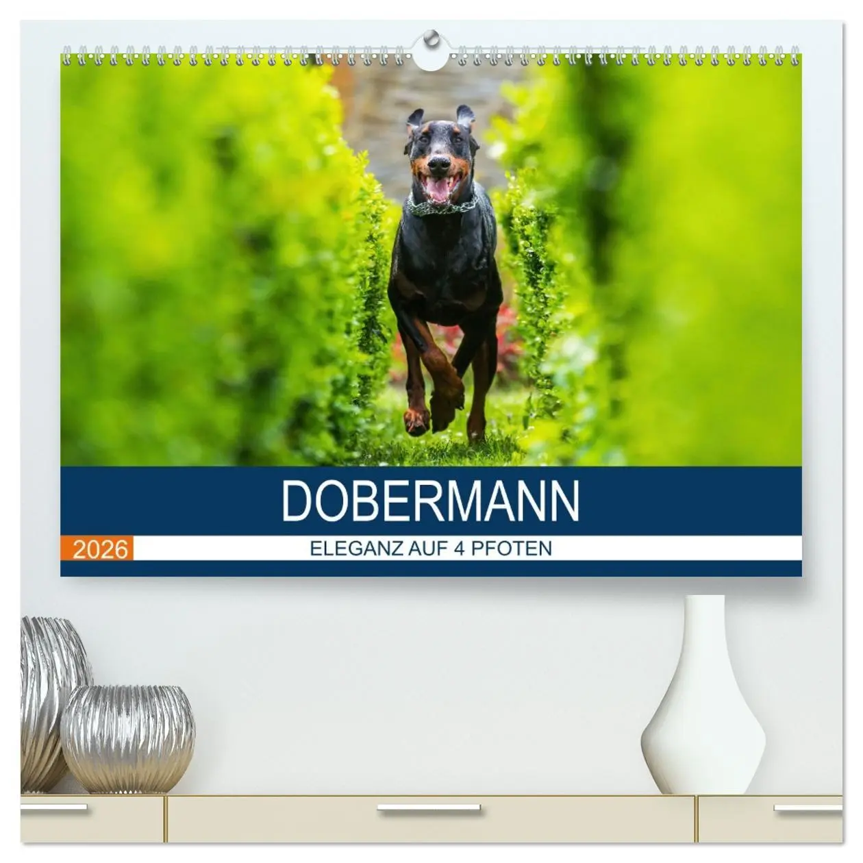 Cover: 9783516081336 | Dobermann 2026 (hochwertiger Premium Wandkalender 2026 DIN A2...