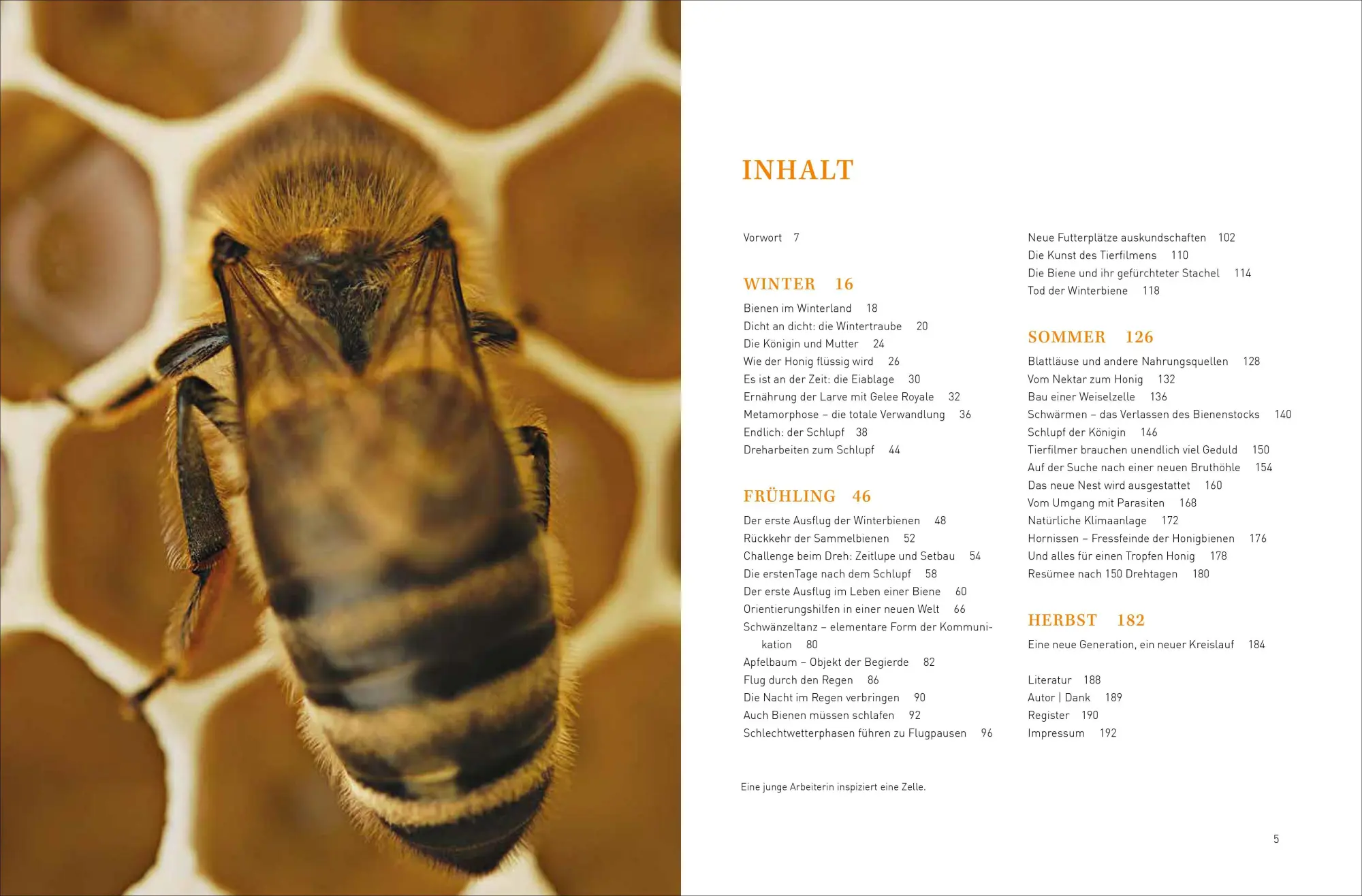 Bild: 9783987011436 | Tagebuch einer Biene | Dennis Wells | Taschenbuch | 208 S. | Deutsch