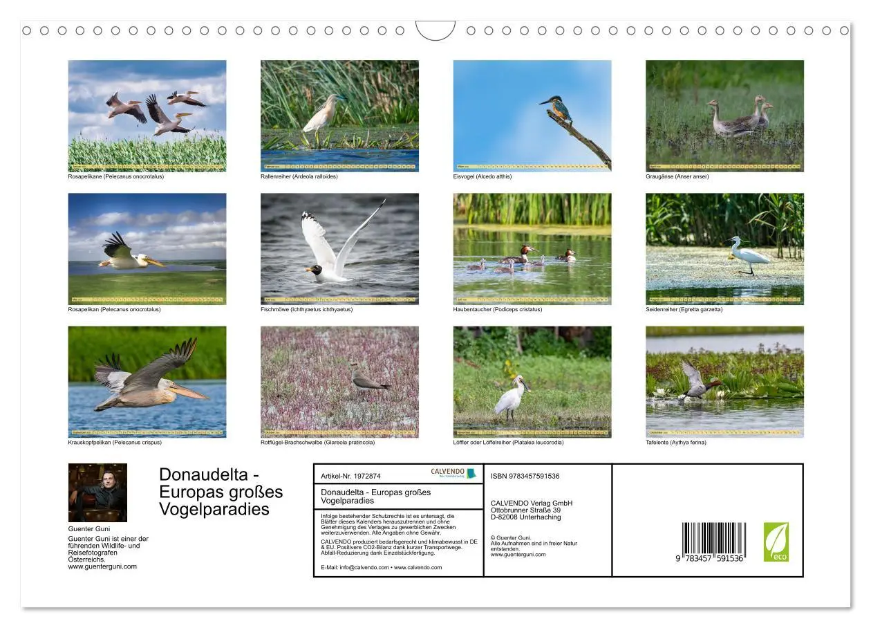 Bild: 9783457591536 | Donaudelta - Europas großes Vogelparadies (Wandkalender 2026 DIN A3...