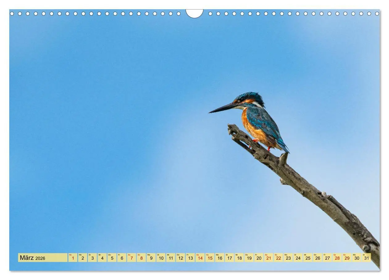Bild: 9783457591536 | Donaudelta - Europas großes Vogelparadies (Wandkalender 2026 DIN A3...