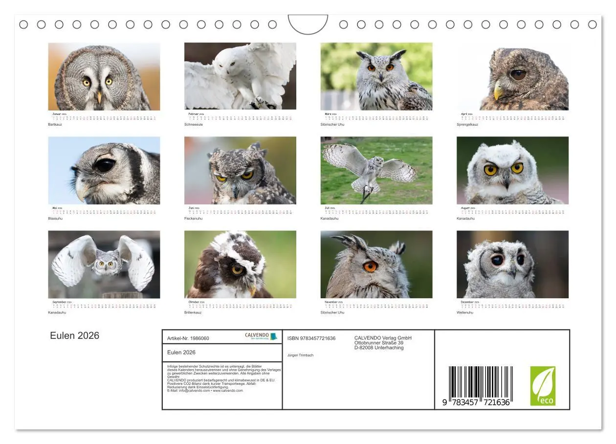 Bild: 9783457721636 | Eulen 2026 (Wandkalender 2026 DIN A4 quer), CALVENDO Monatskalender