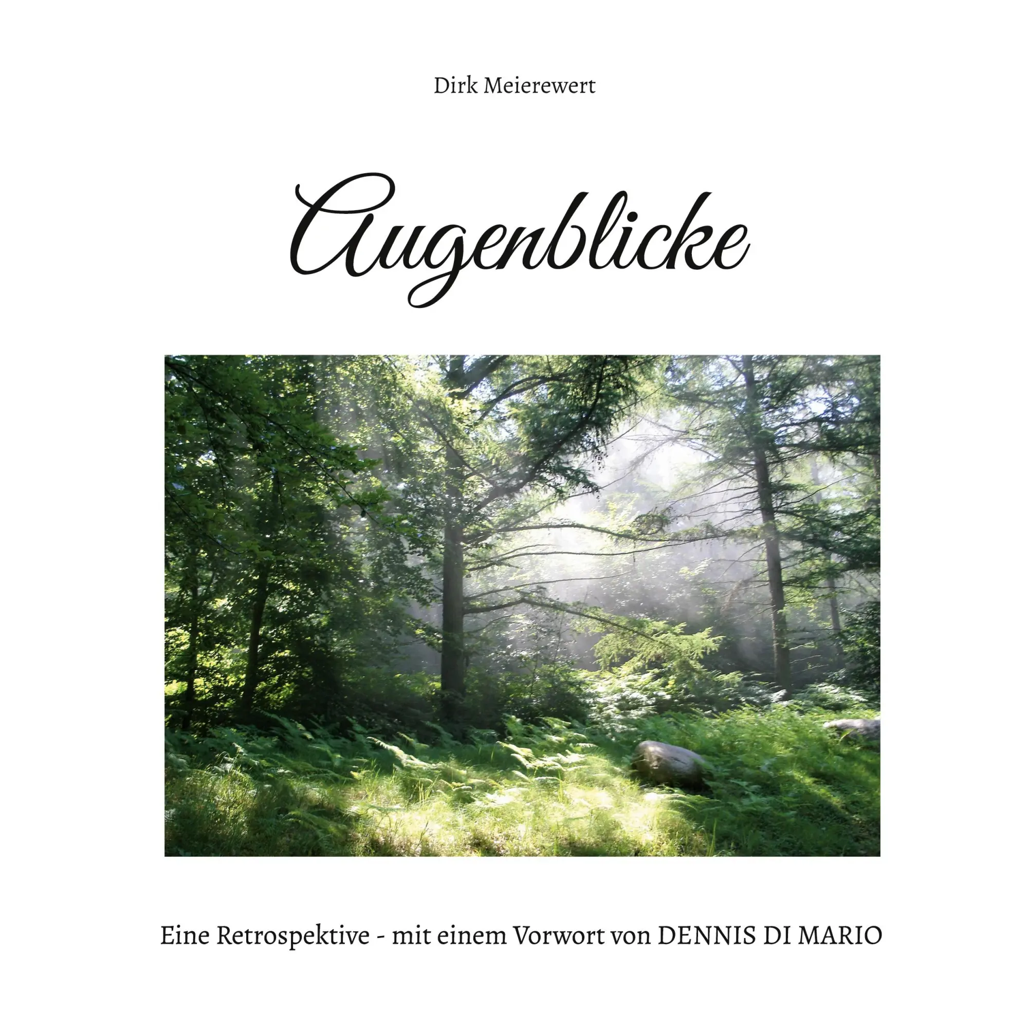 Augenblicke: Eine Retrospektive