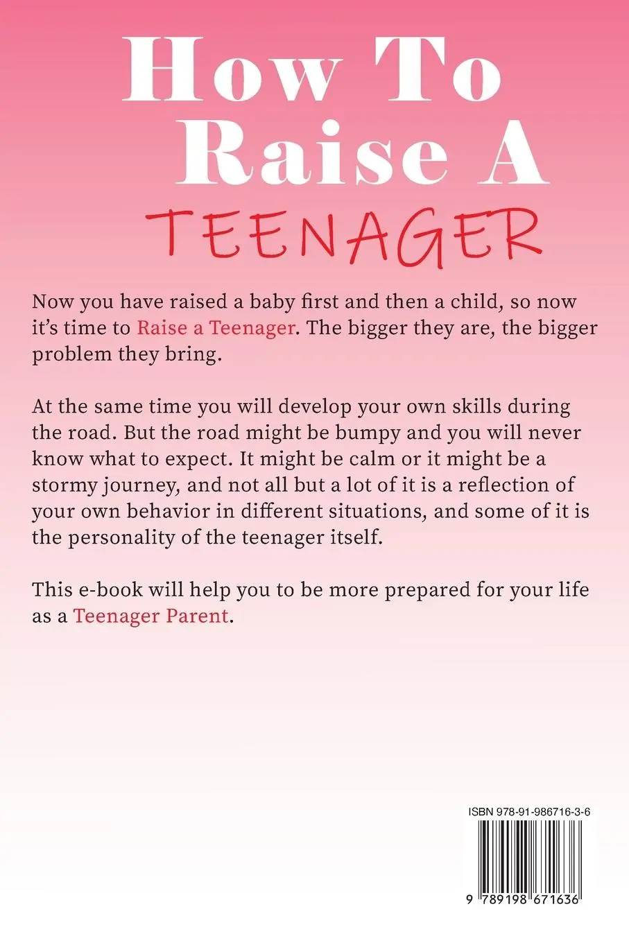 Rückseite: 9789198671636 | How to Raise a Teenager | Lita Caine | Taschenbuch | Englisch | 2023