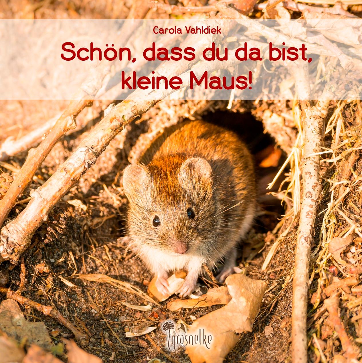 Cover: 9783982341736 | Schön, dass du da bist, kleine Maus! | Carola Vahldiek | Buch | 2024