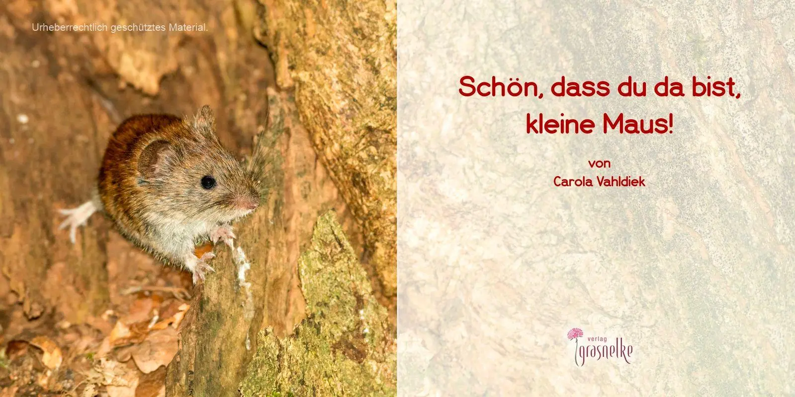 Bild: 9783982341736 | Schön, dass du da bist, kleine Maus! | Carola Vahldiek | Buch | 24 S.