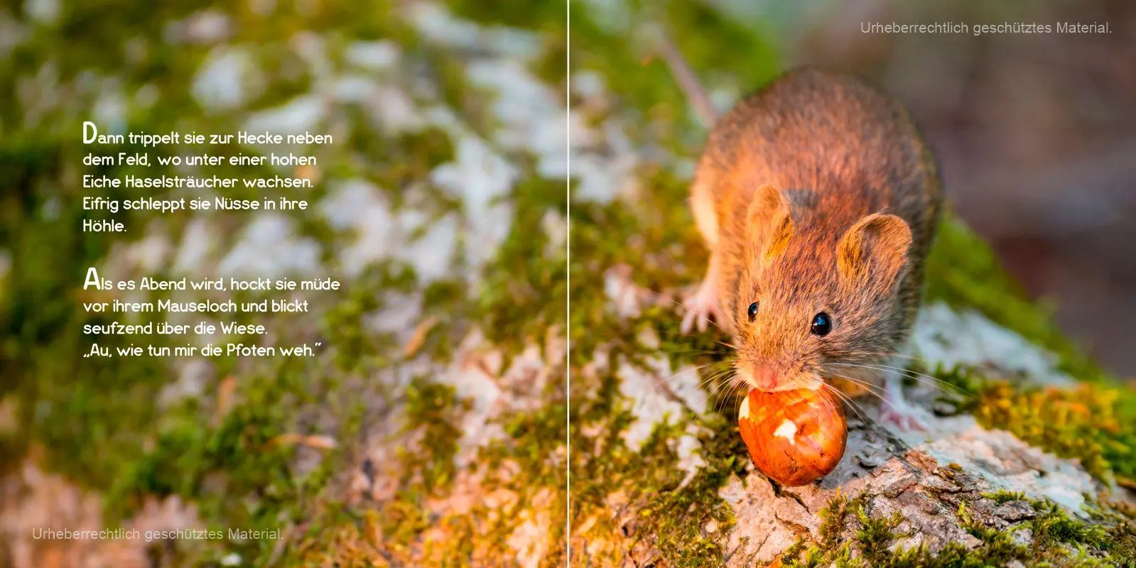 Bild: 9783982341736 | Schön, dass du da bist, kleine Maus! | Carola Vahldiek | Buch | 24 S.