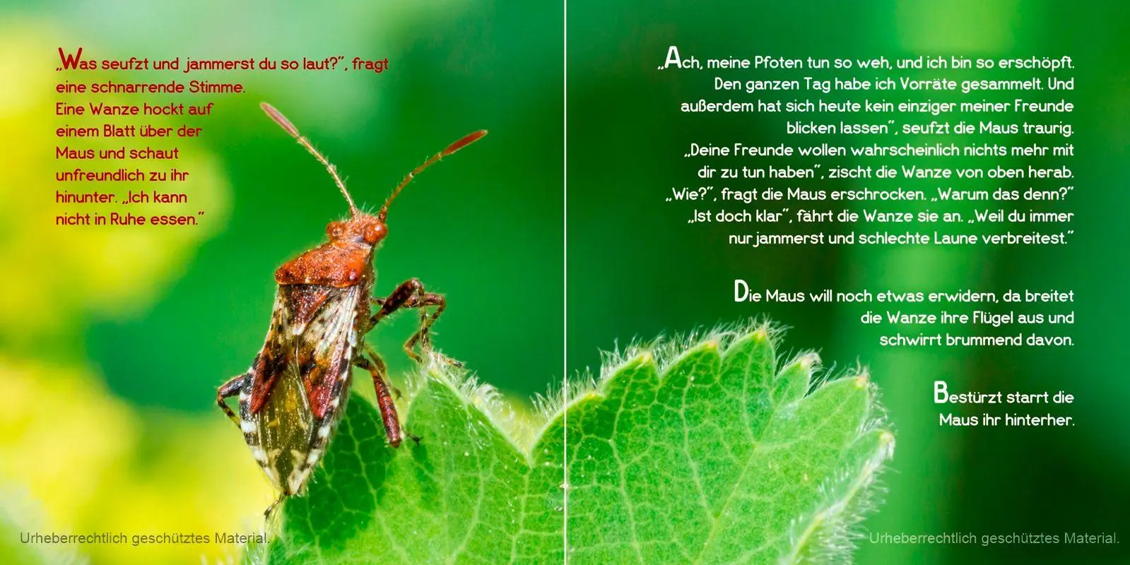 Bild: 9783982341736 | Schön, dass du da bist, kleine Maus! | Carola Vahldiek | Buch | 24 S.