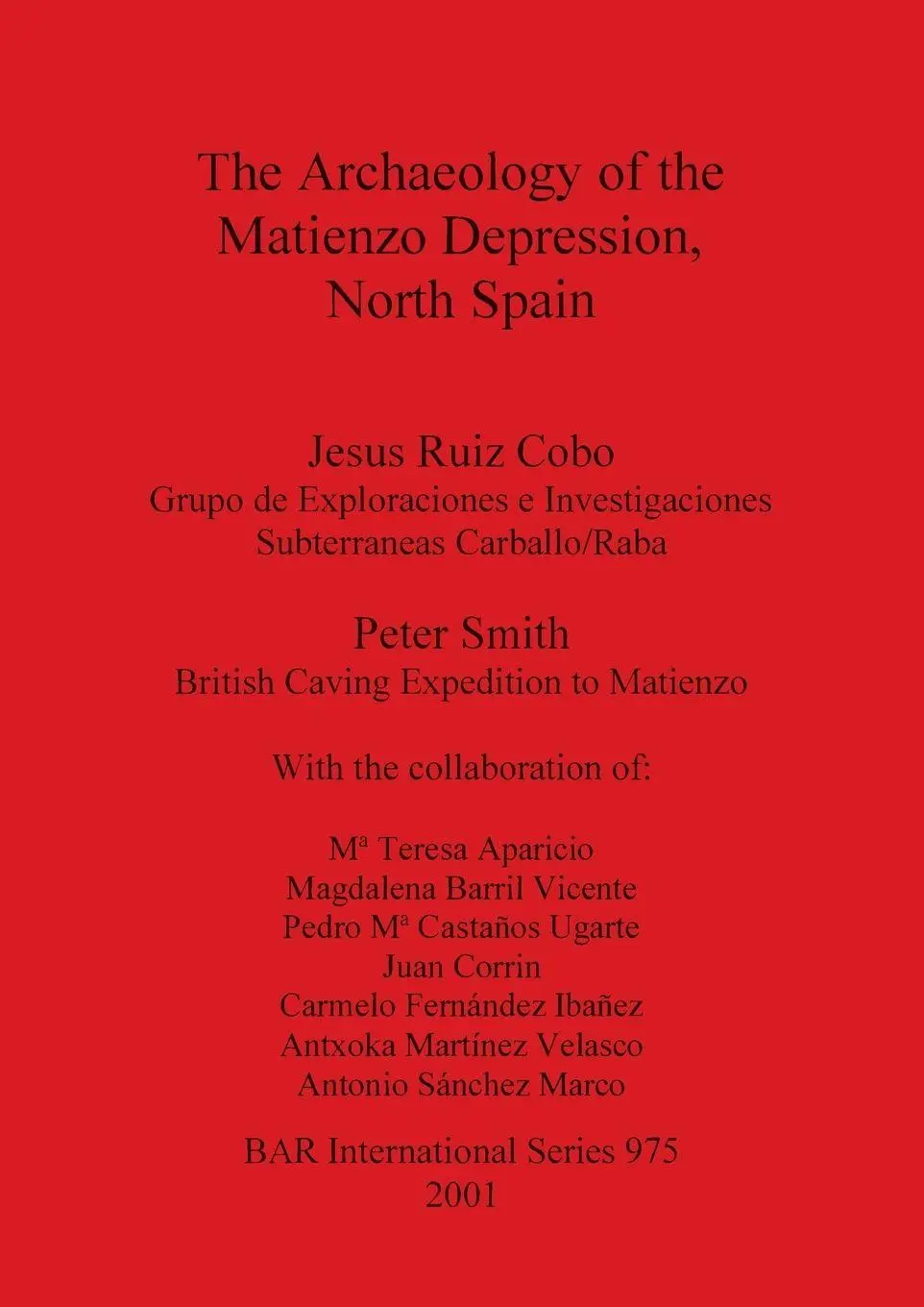 Cover: 9781841711836 | The Archaeology of the Matienzo Depression, North Spain | Cobo (u. a.)