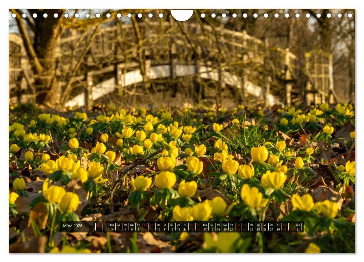 Bild: 9783383831836 | Magdeburg - Ottostadt (Wandkalender 2025 DIN A4 quer), CALVENDO...