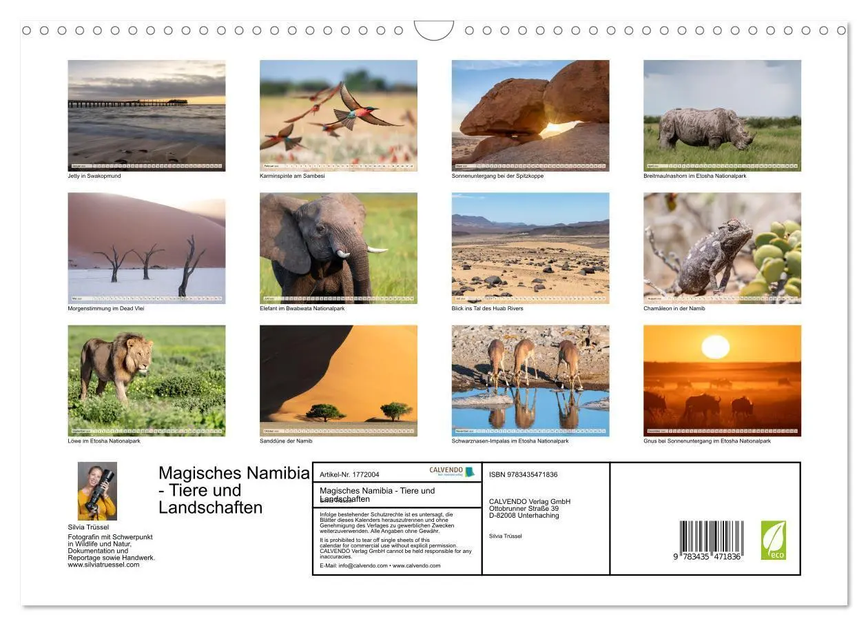 Bild: 9783435471836 | Magisches Namibia - Tiere und Landschaften (Wandkalender 2025 DIN...