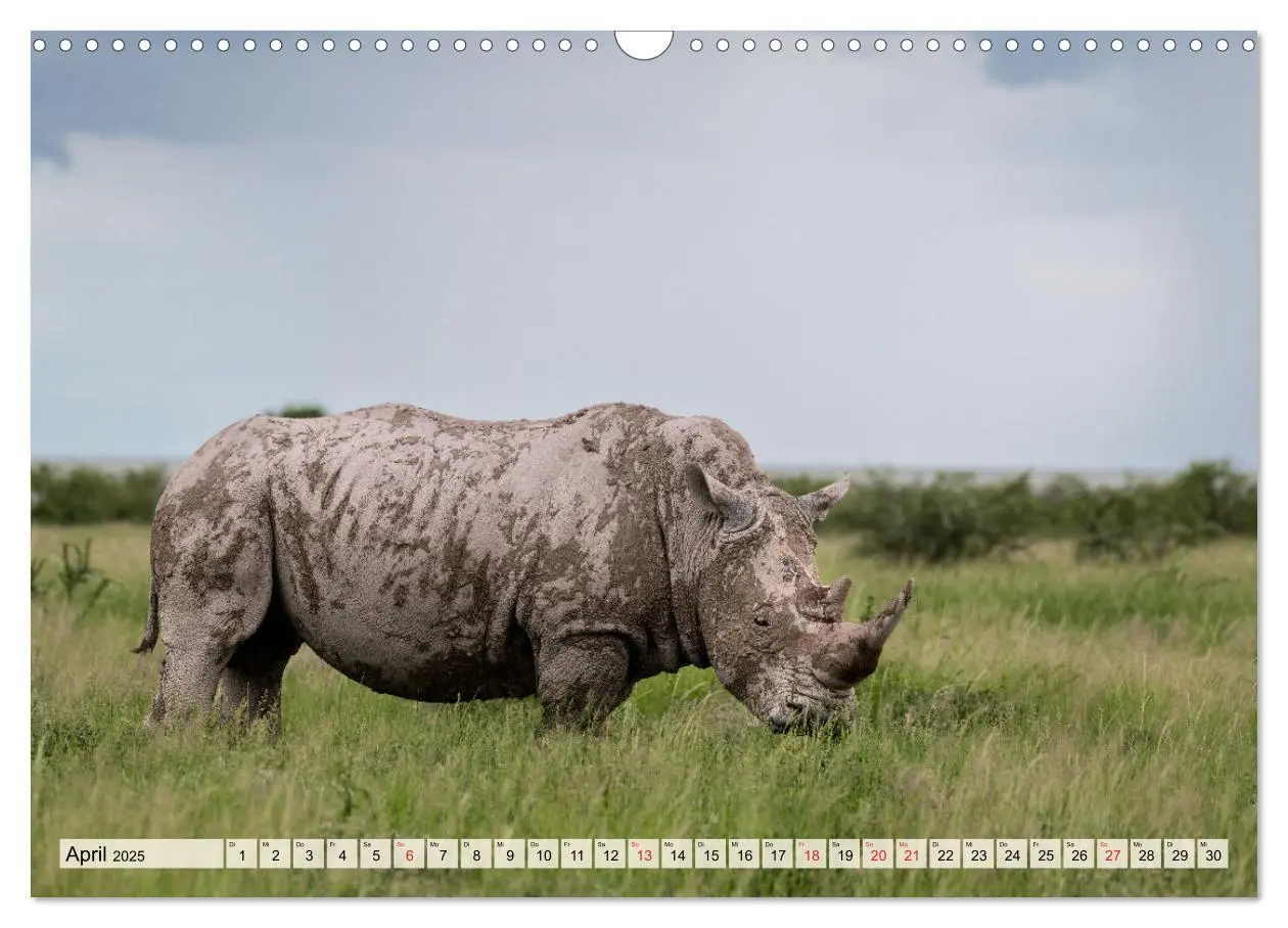 Bild: 9783435471836 | Magisches Namibia - Tiere und Landschaften (Wandkalender 2025 DIN...