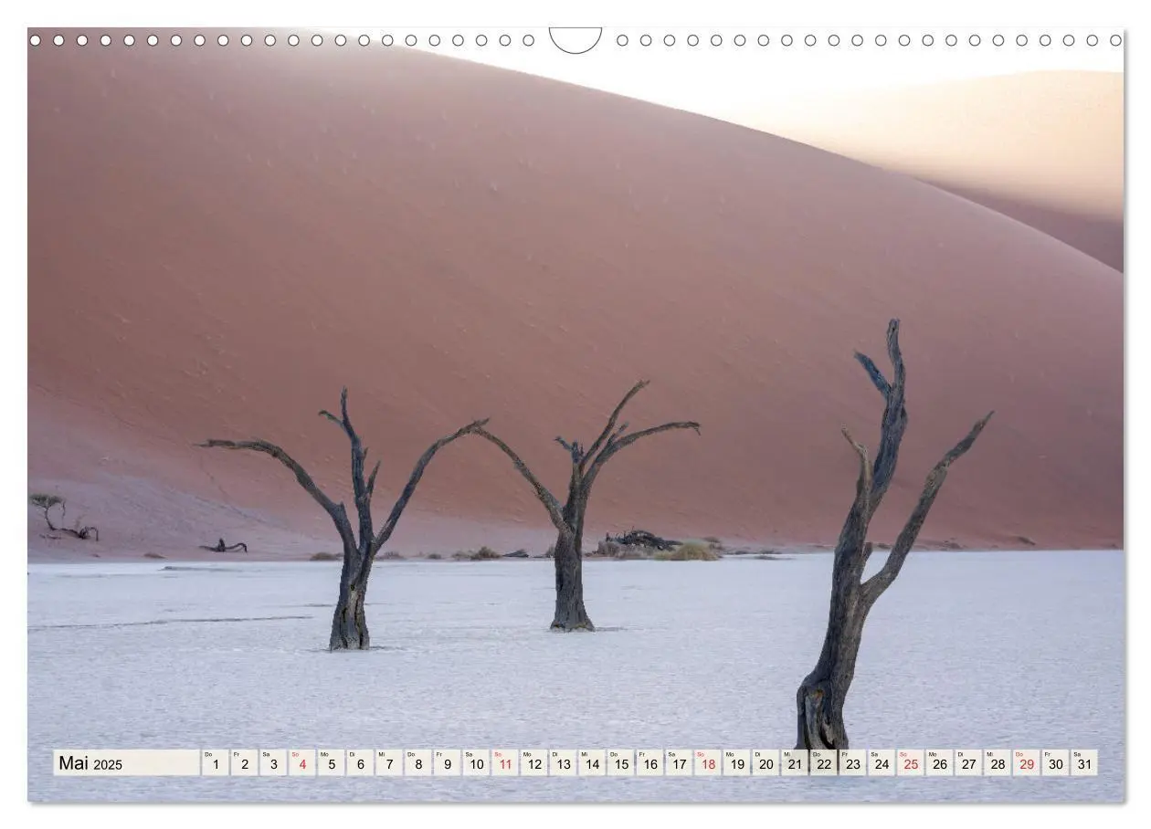 Bild: 9783435471836 | Magisches Namibia - Tiere und Landschaften (Wandkalender 2025 DIN...
