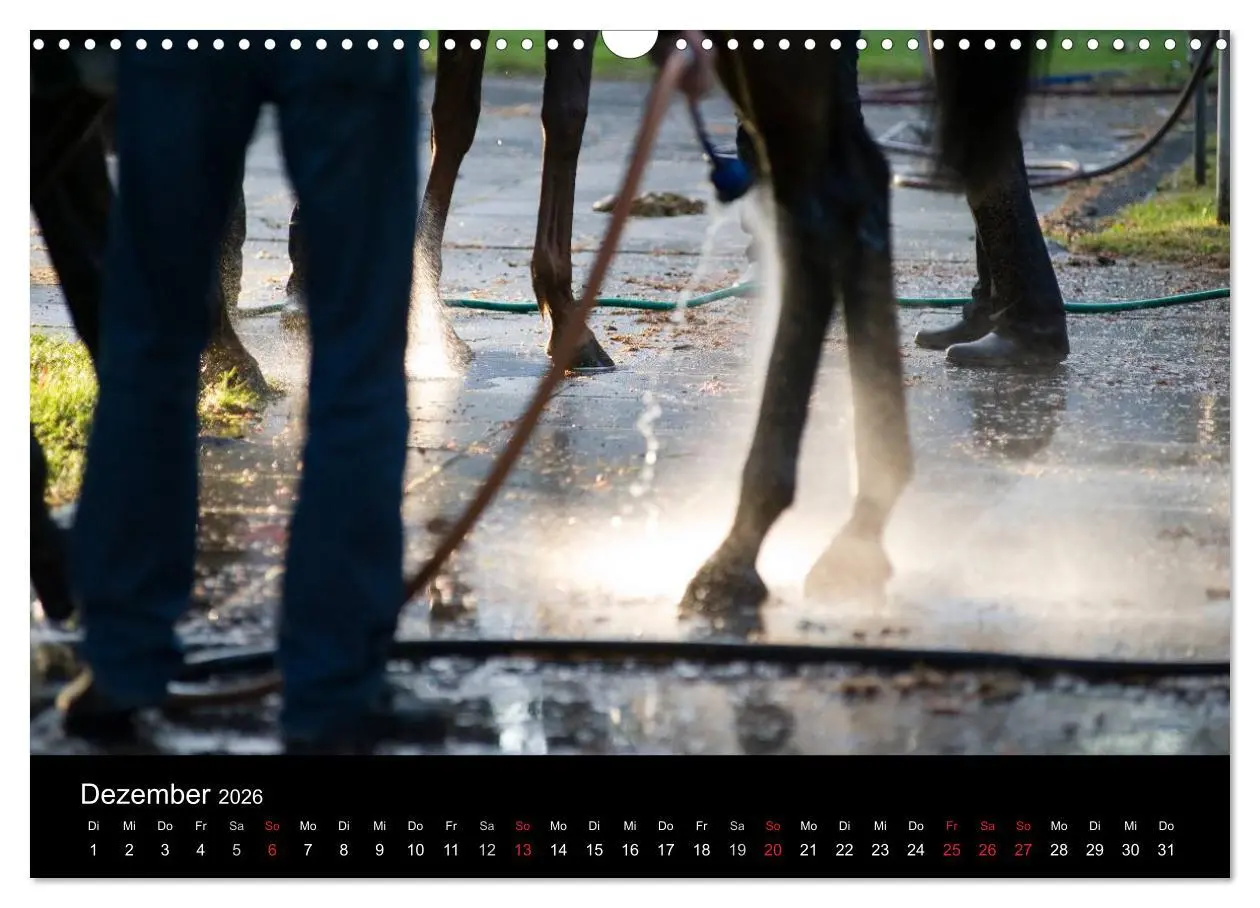 Bild: 9783516191936 | Faszination Galopprennen in Baden-Baden (Wandkalender 2026 DIN A3...