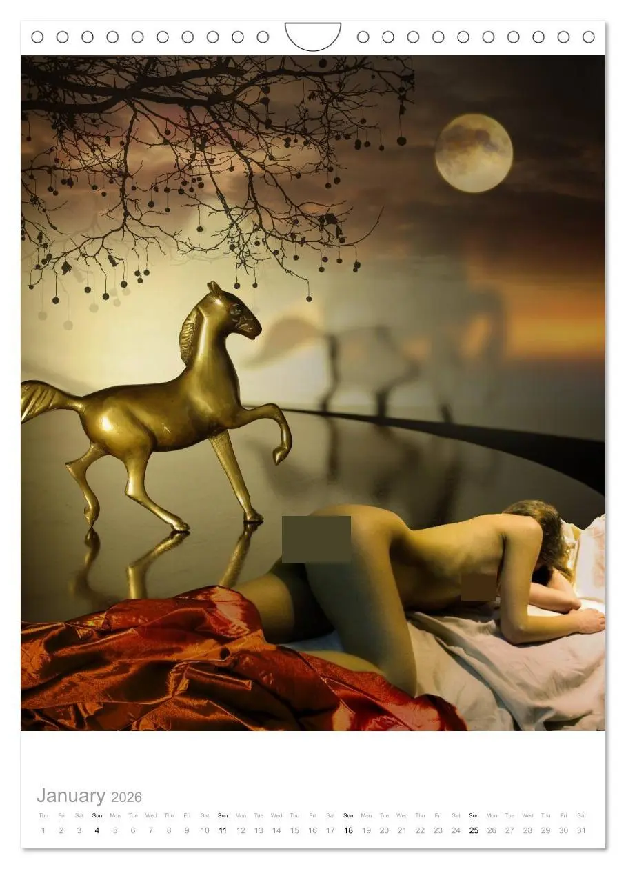 Bild: 9783516571936 | An Erotic Expedition to the World of Female Reveries (Wall Calendar...