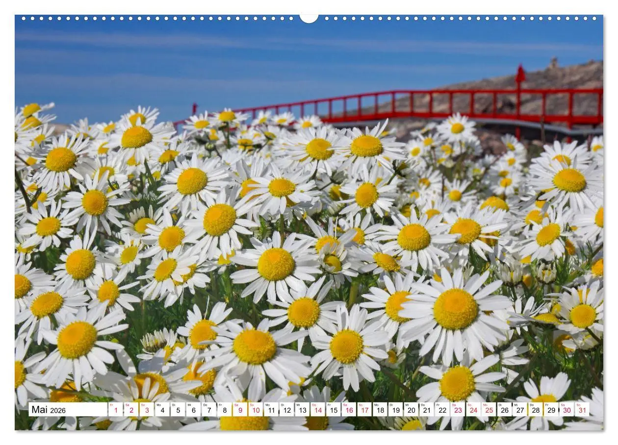 Bild: 9783457682036 | Grönland - Wildes, weites Land (hochwertiger Premium Wandkalender...