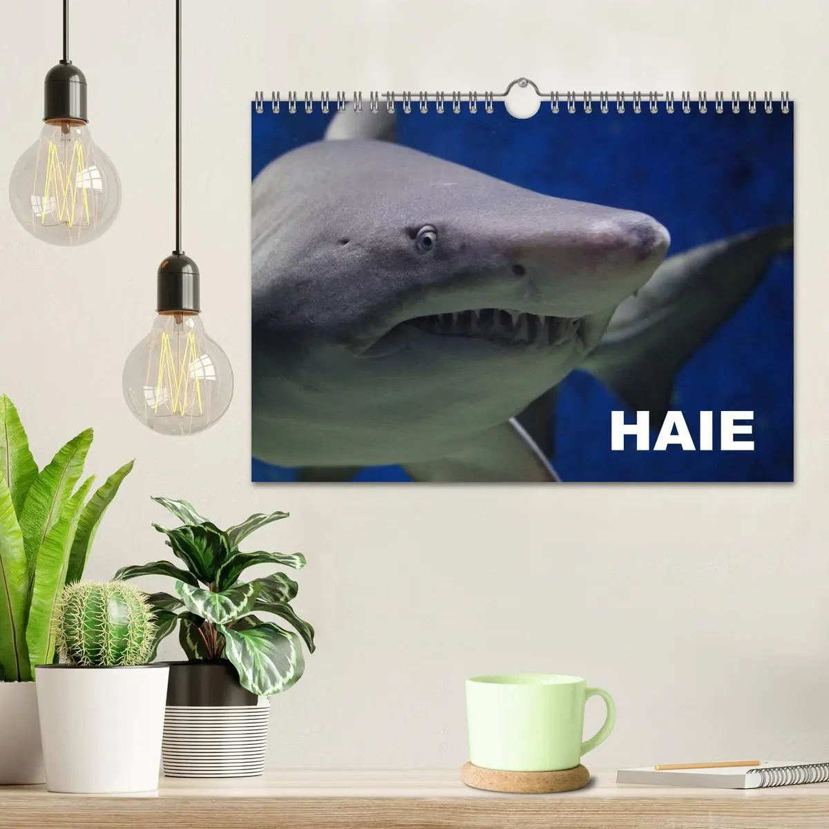 Bild: 9783457992036 | Haie (Wandkalender 2026 DIN A4 quer), CALVENDO Monatskalender | 2026