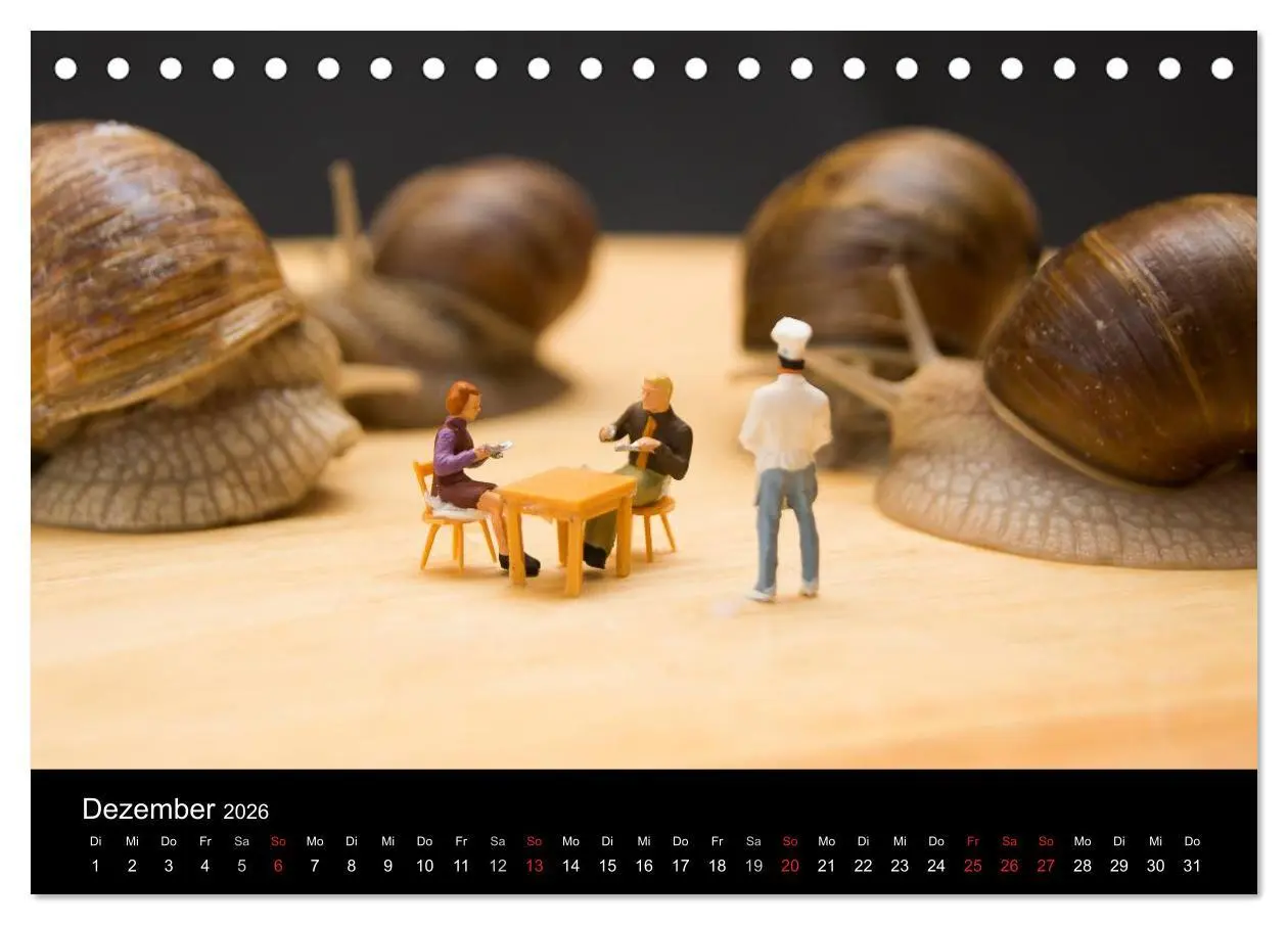 Bild: 9783516152036 | Die große Welt (Tischkalender 2026 DIN A5 quer), CALVENDO...