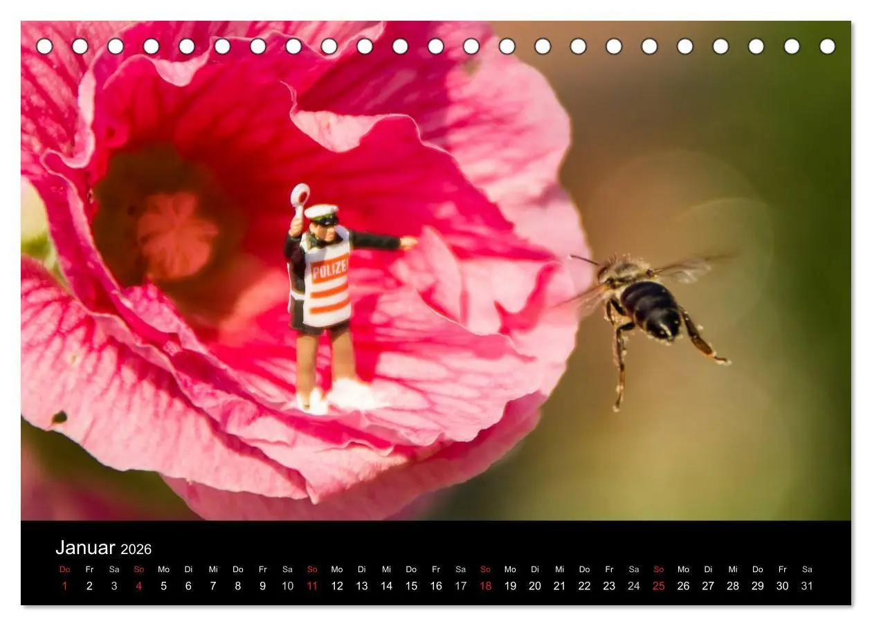 Bild: 9783516152036 | Die große Welt (Tischkalender 2026 DIN A5 quer), CALVENDO...