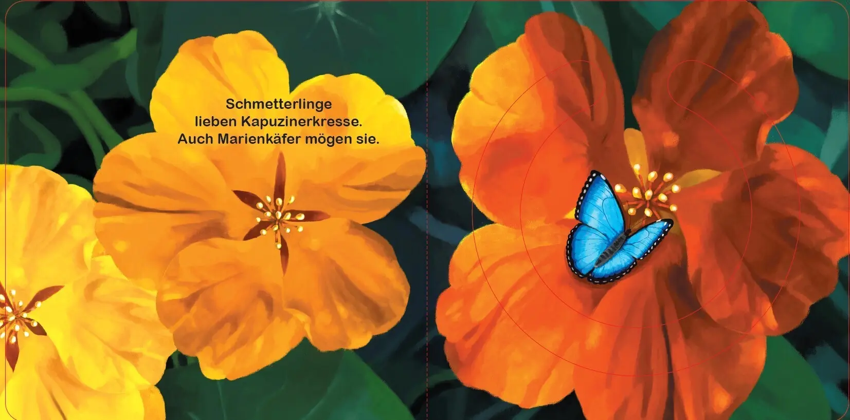Bild: 9783039342136 | Beweg es! | Dom Evangelisti | Buch | 8 S. | Deutsch | 2024