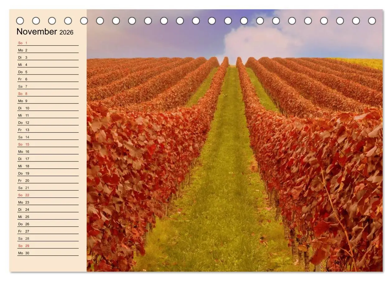Bild: 9783457982136 | Weinanbau. Von der Traube zum Wein (Tischkalender 2026 DIN A5...