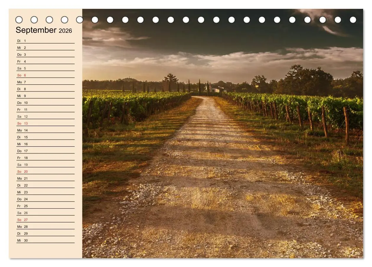 Bild: 9783457982136 | Weinanbau. Von der Traube zum Wein (Tischkalender 2026 DIN A5...