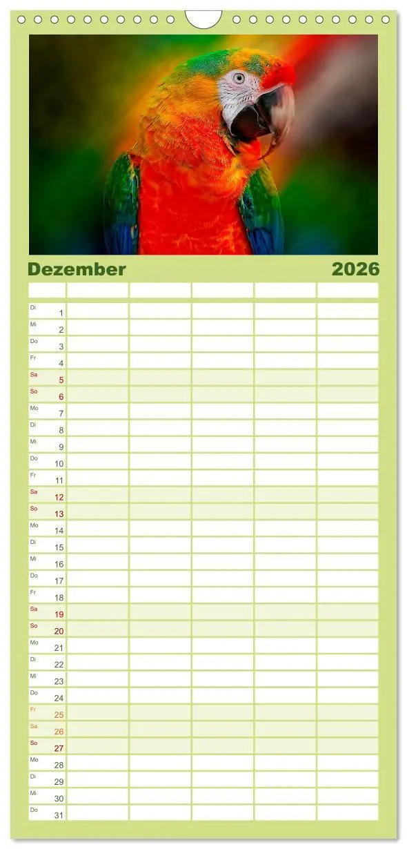 Bild: 9783516522136 | Familienplaner 2026 - Mein bunter Papagei mit 5 Spalten...
