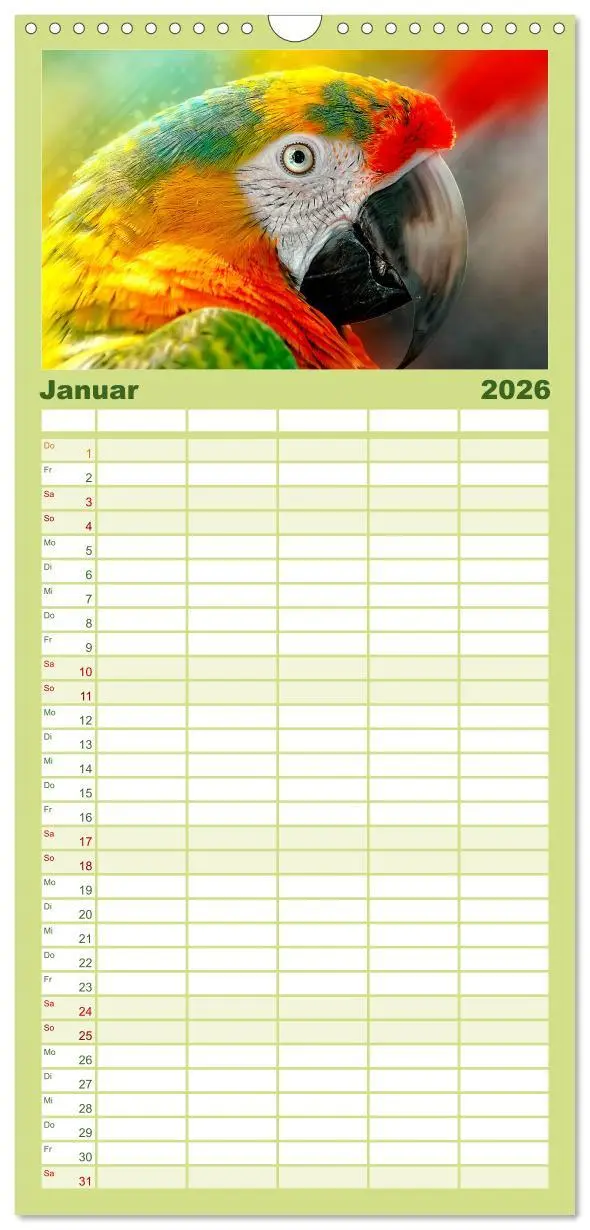Bild: 9783516522136 | Familienplaner 2026 - Mein bunter Papagei mit 5 Spalten...