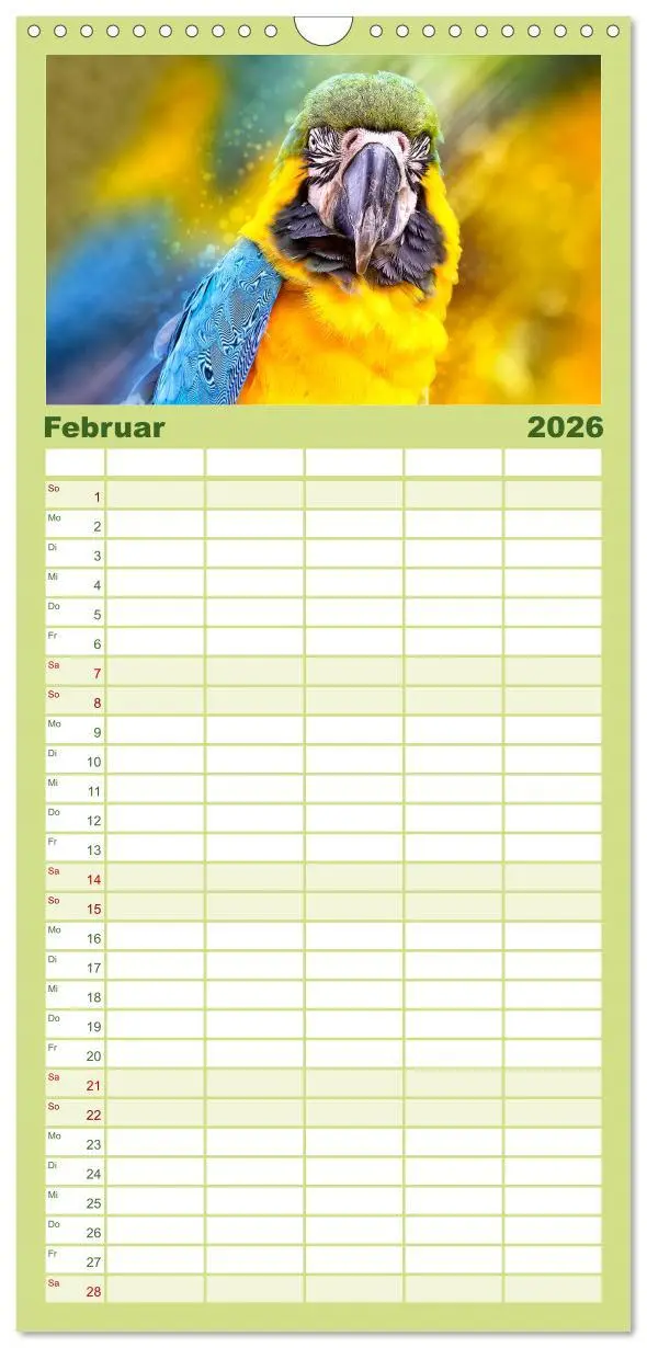 Bild: 9783516522136 | Familienplaner 2026 - Mein bunter Papagei mit 5 Spalten...