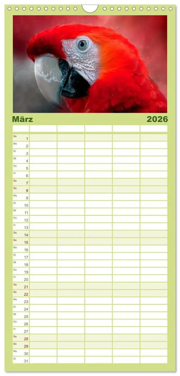 Bild: 9783516522136 | Familienplaner 2026 - Mein bunter Papagei mit 5 Spalten...