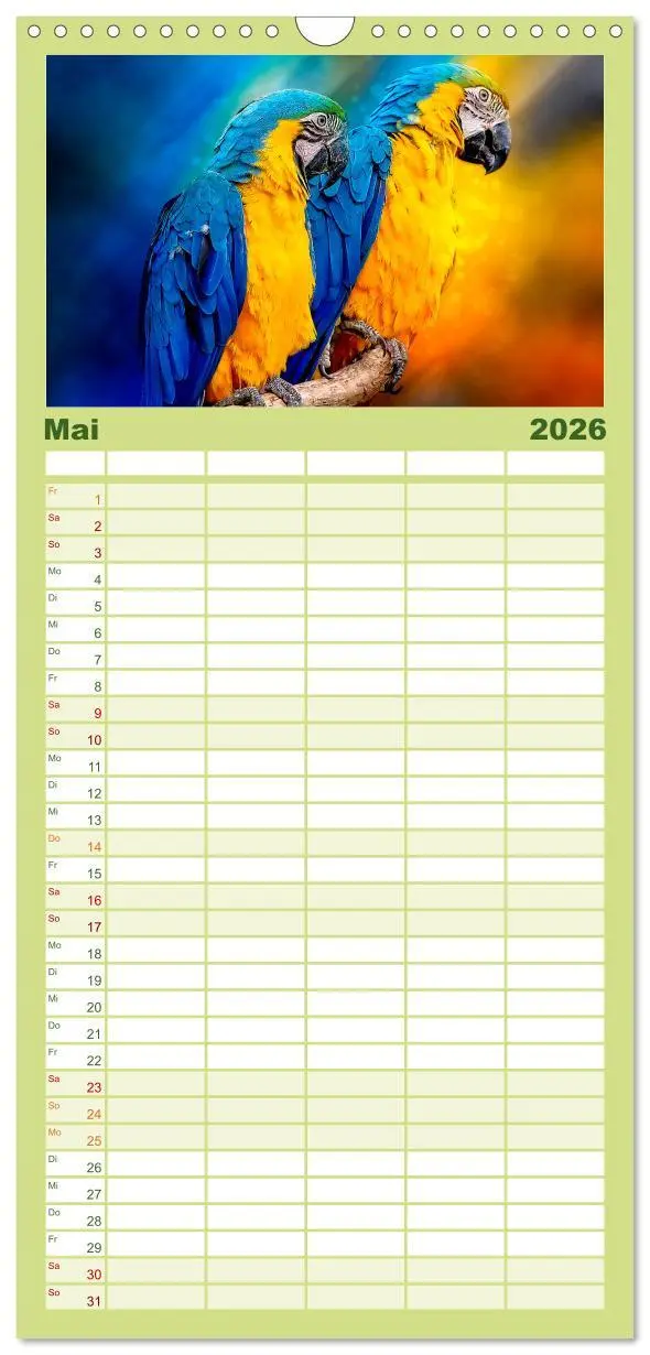 Bild: 9783516522136 | Familienplaner 2026 - Mein bunter Papagei mit 5 Spalten...