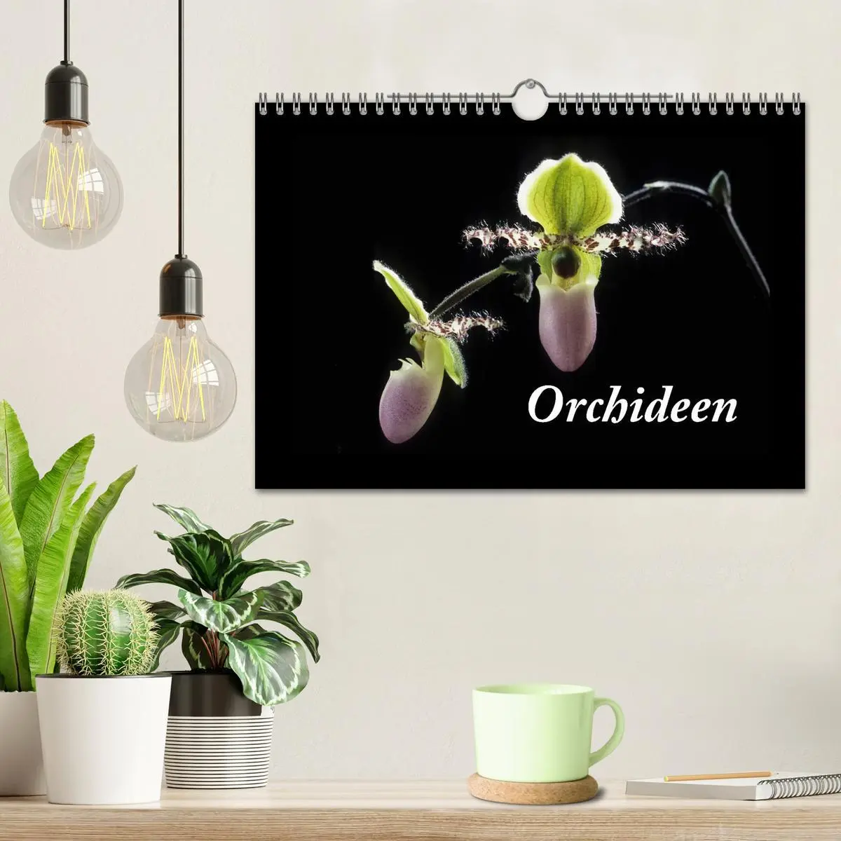 Bild: 9783516202236 | Orchideen 2026 (Wandkalender 2026 DIN A4 quer), CALVENDO...
