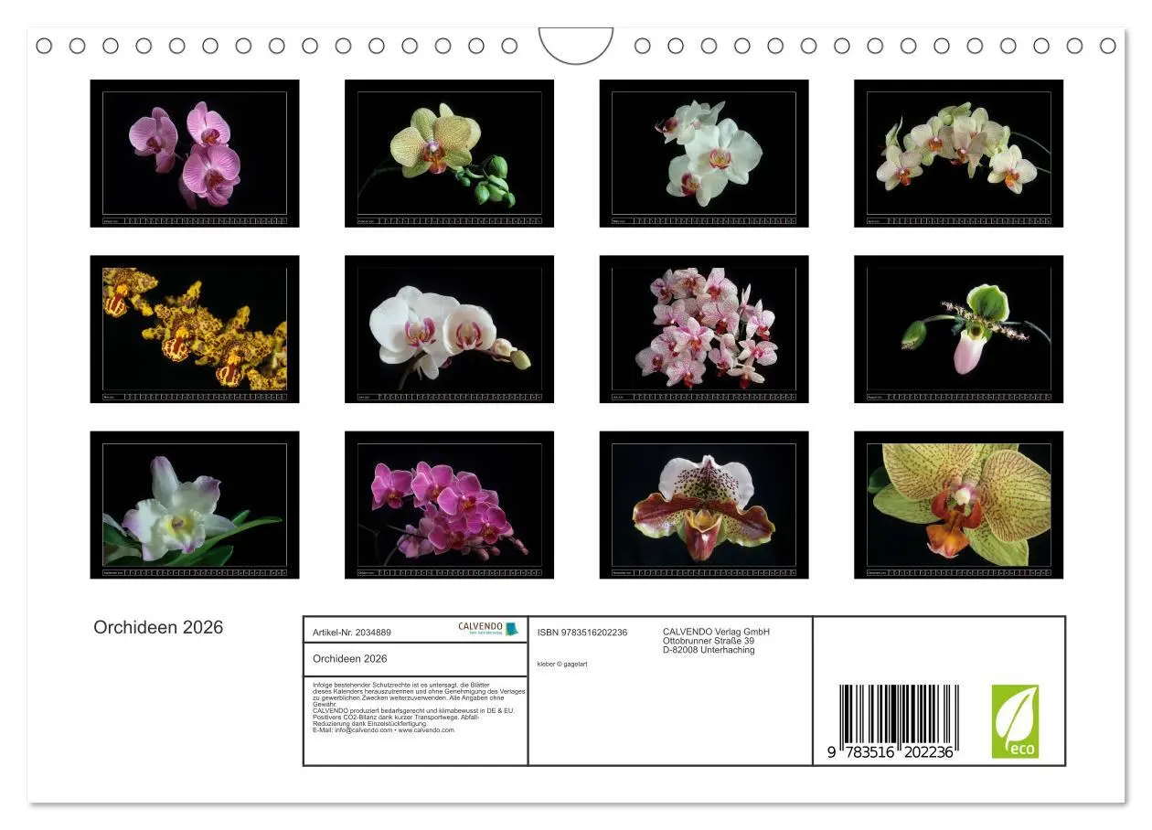 Bild: 9783516202236 | Orchideen 2026 (Wandkalender 2026 DIN A4 quer), CALVENDO...