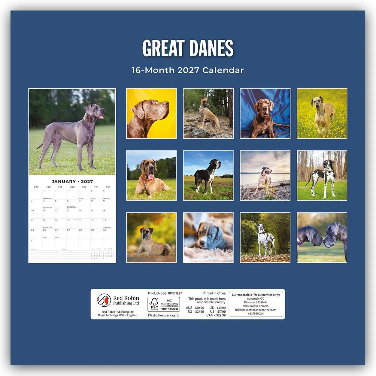 Rückseite: 9781837012336 | Great Danes - Deutsche Dogge 2027 - 16-Monatskalender | Robin Red