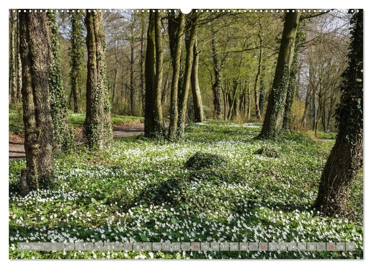 Bild: 9783457722336 | Münsterland - Vielfältige Schönheit (hochwertiger Premium...