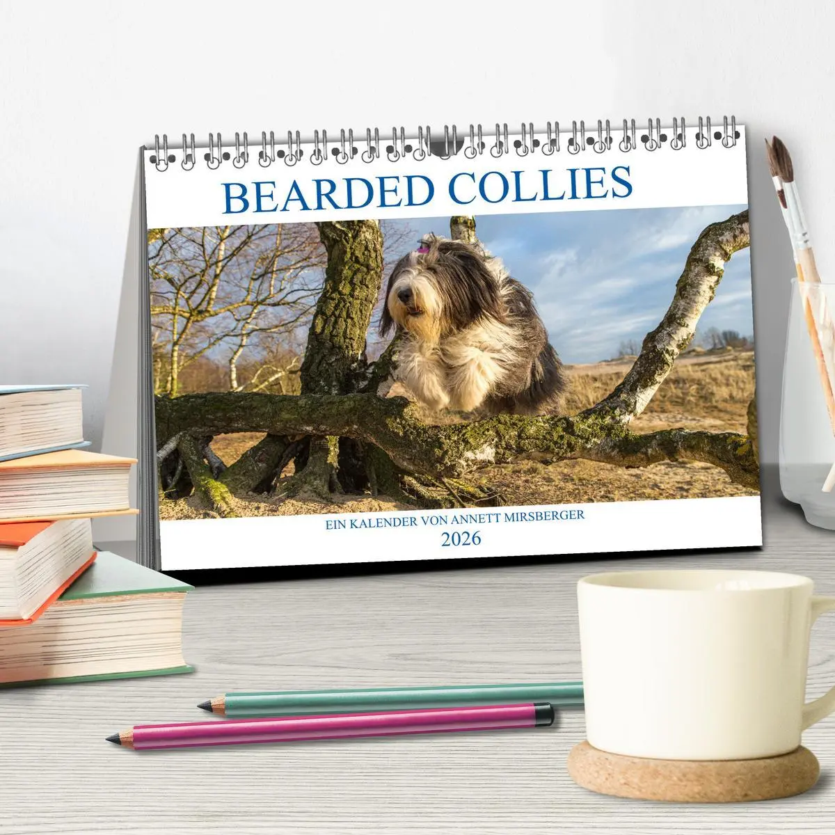 Bild: 9783457892336 | BEARDED COLLIES 2026 (Tischkalender 2026 DIN A5 quer), CALVENDO...